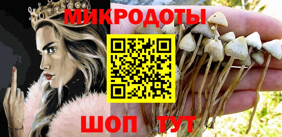 Россия  Псилоцибиновые грибы Psilocybine cubensis  Галлюциногенные грибы мицелий  Вход с VPN 