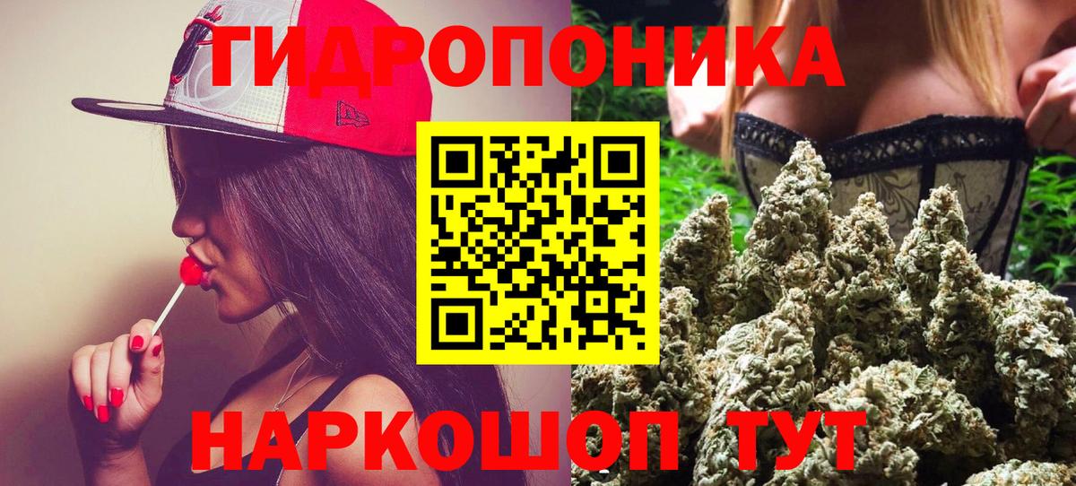 Каннабис тримм  Вход с VPN  Бошки Шишки конопля  Россия  Шишки марихуана THC 21% 